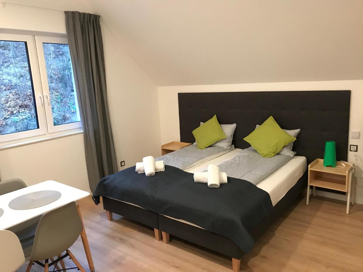 Apartamenty Pod Zamkiem W Janowcu Janowiec Εξωτερικό φωτογραφία