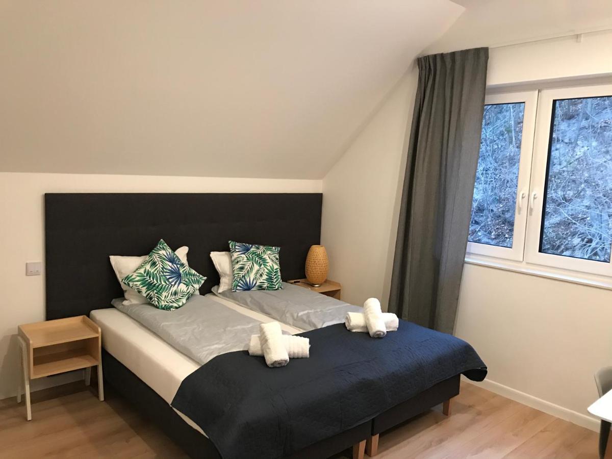 Apartamenty Pod Zamkiem W Janowcu Janowiec Εξωτερικό φωτογραφία